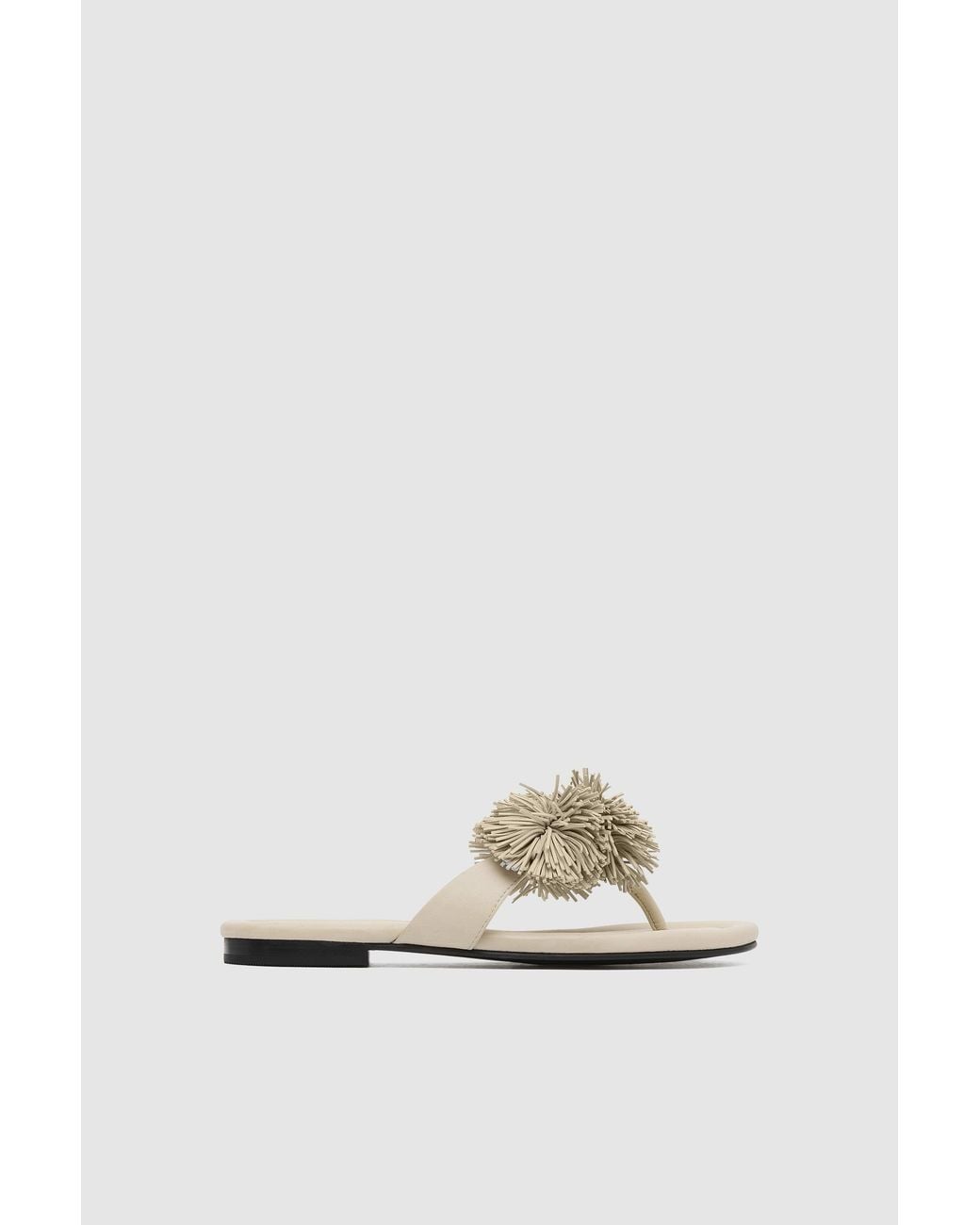 St. Agni White Pre-Order: Urchin Slide