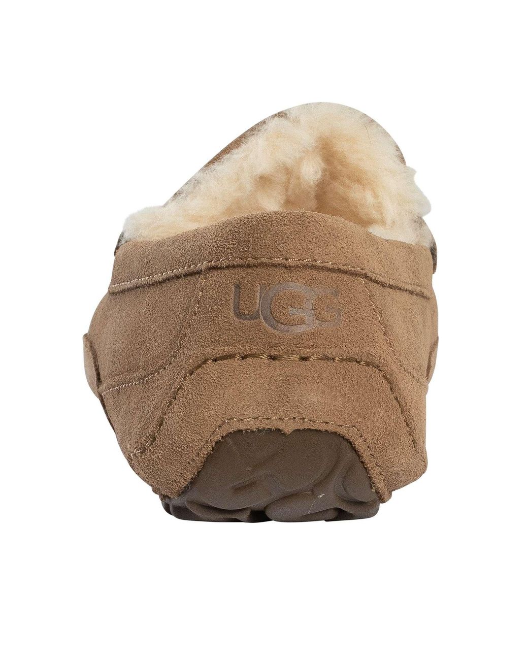 Ugg Brown Ascot Slippers for men