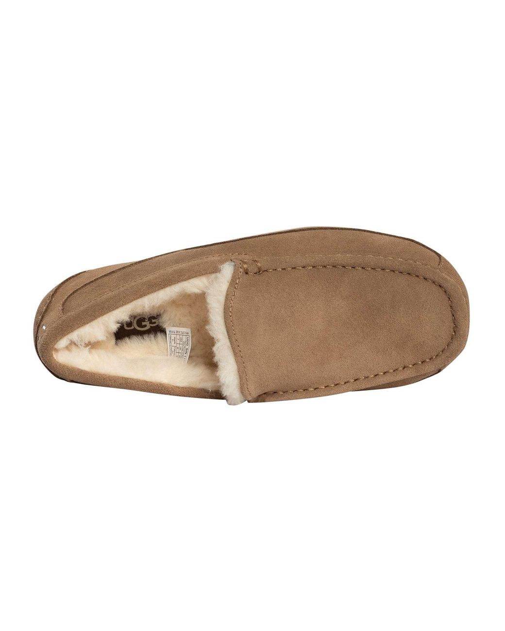 Ugg Brown Ascot Slippers for men