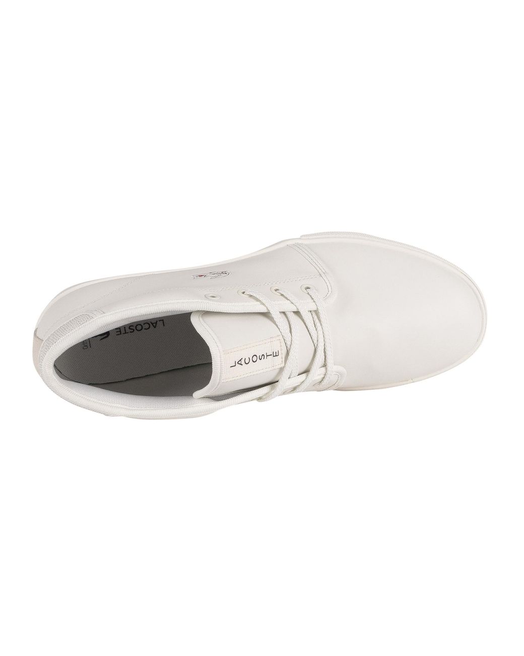 lacoste ampthill 120