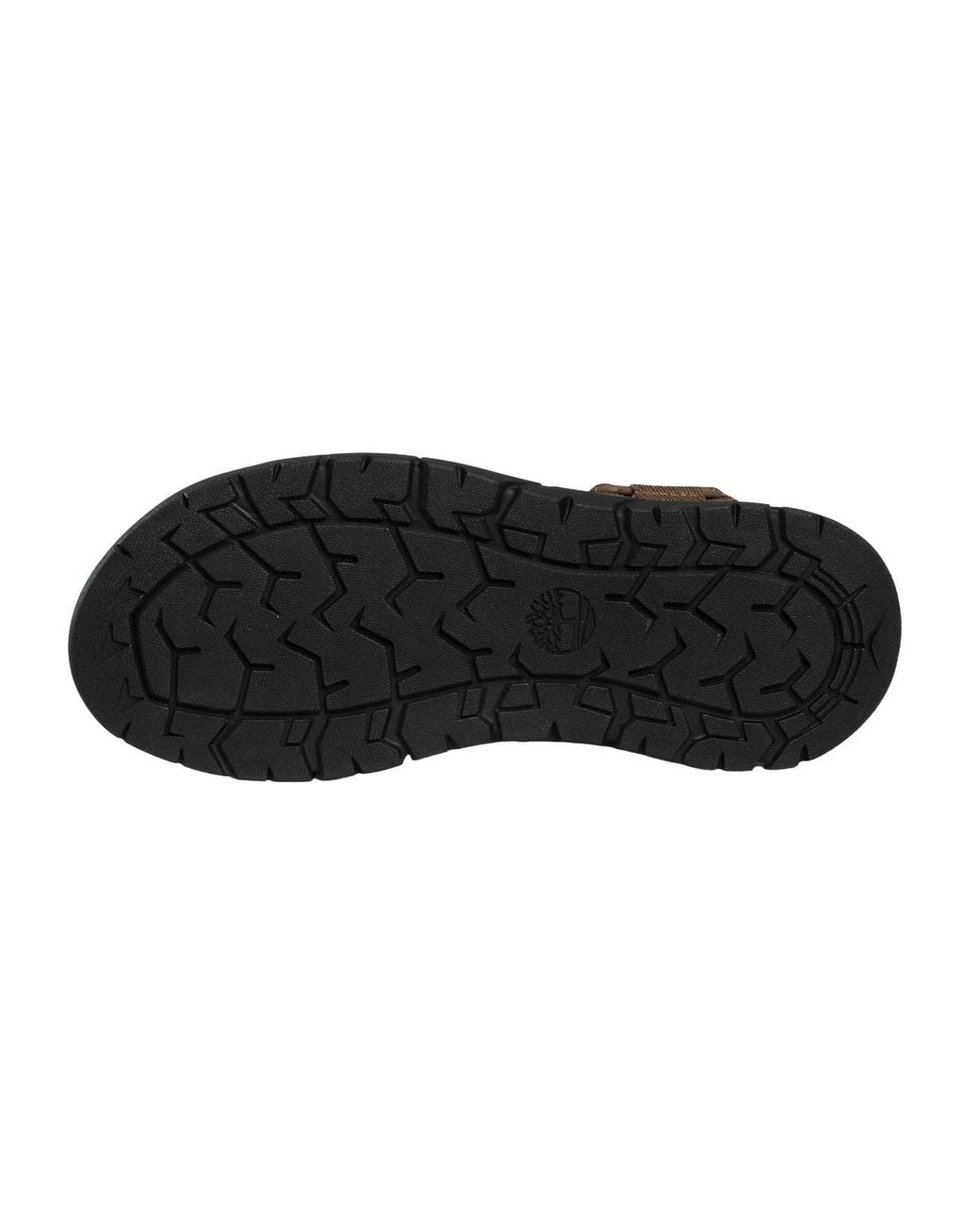 Timberland Brown Windham Trail Sandals for men