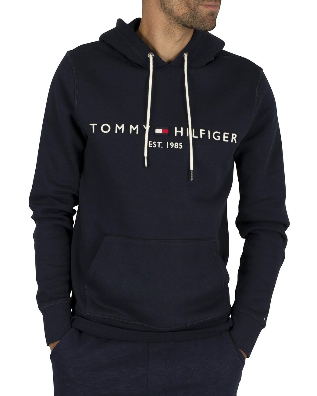 tommy hilfiger light blue hoodie