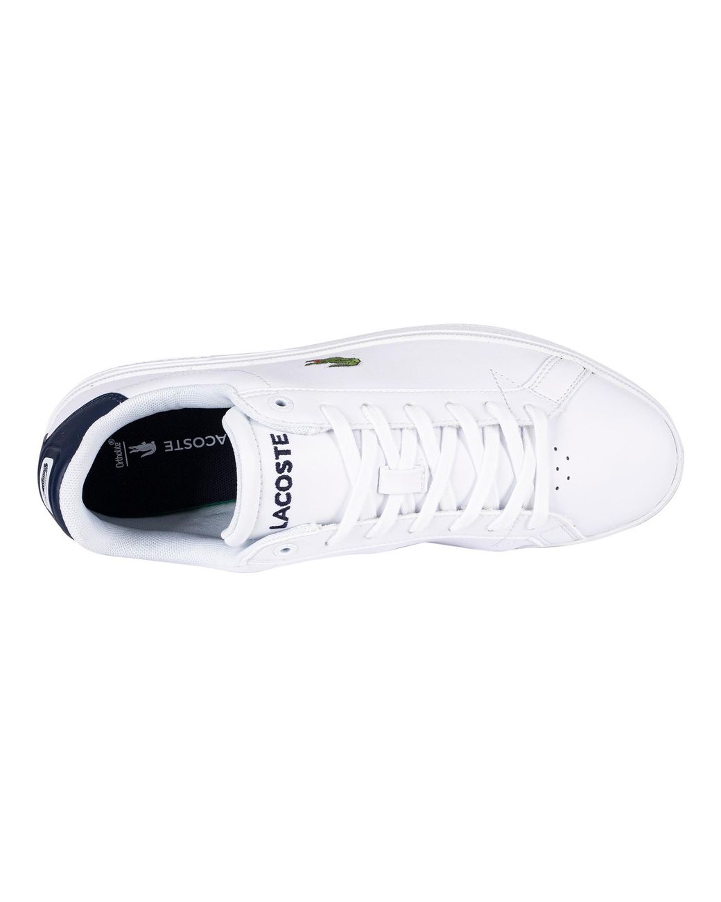 Lacoste on sale graduate trainers