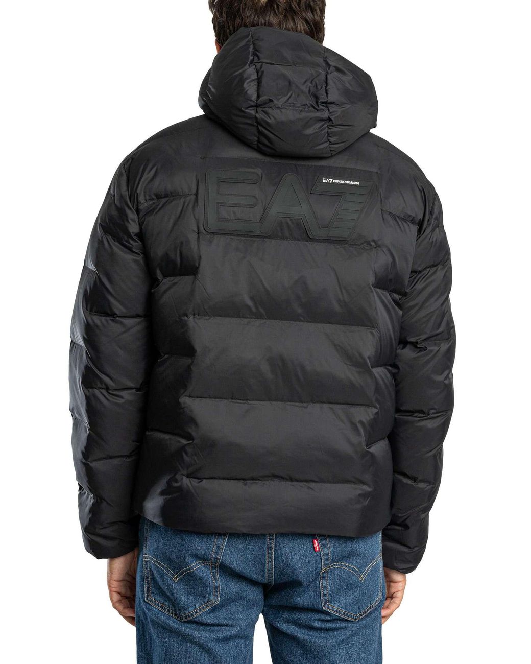 EA7 Gray Mountain Polar Jacket for men