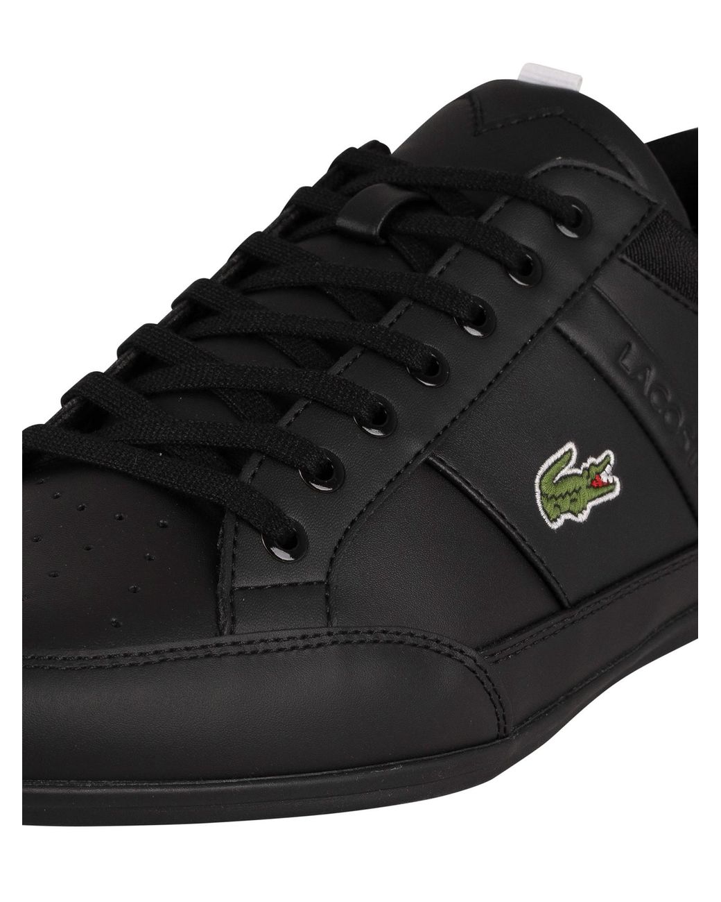 lacoste chaymon black