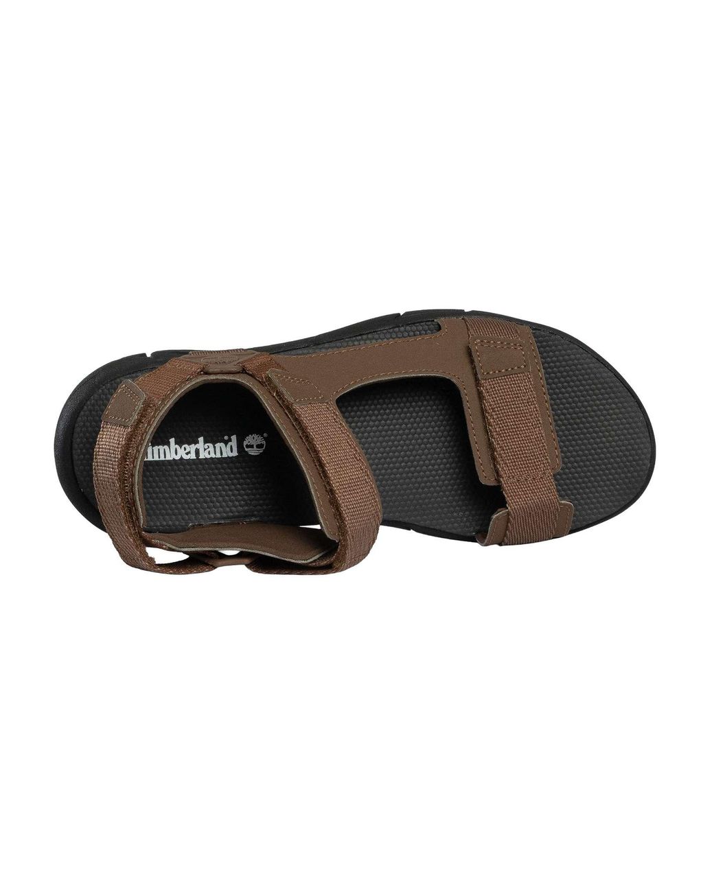Timberland Brown Windham Trail Sandals for men