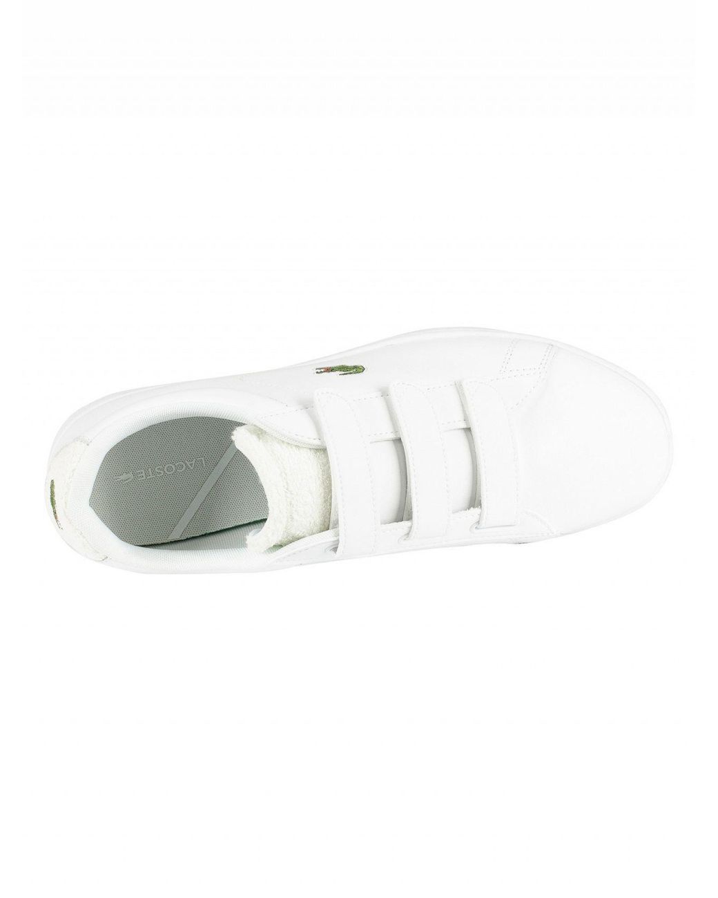 Lacoste carnaby evo strap sale