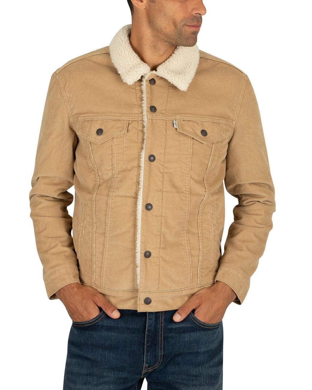 Levi's chino corduroy sherpa trucker jacket sales