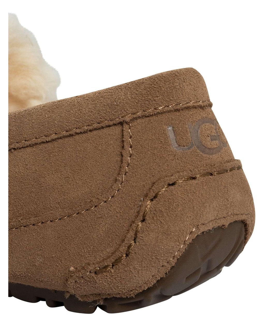 Ugg Brown Ascot Slippers for men