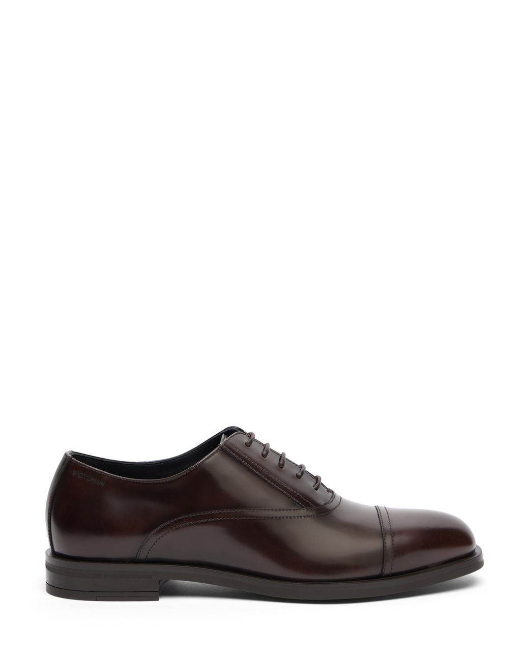 Stuart Weitzman Brown Sw Club Classic Oxford for men