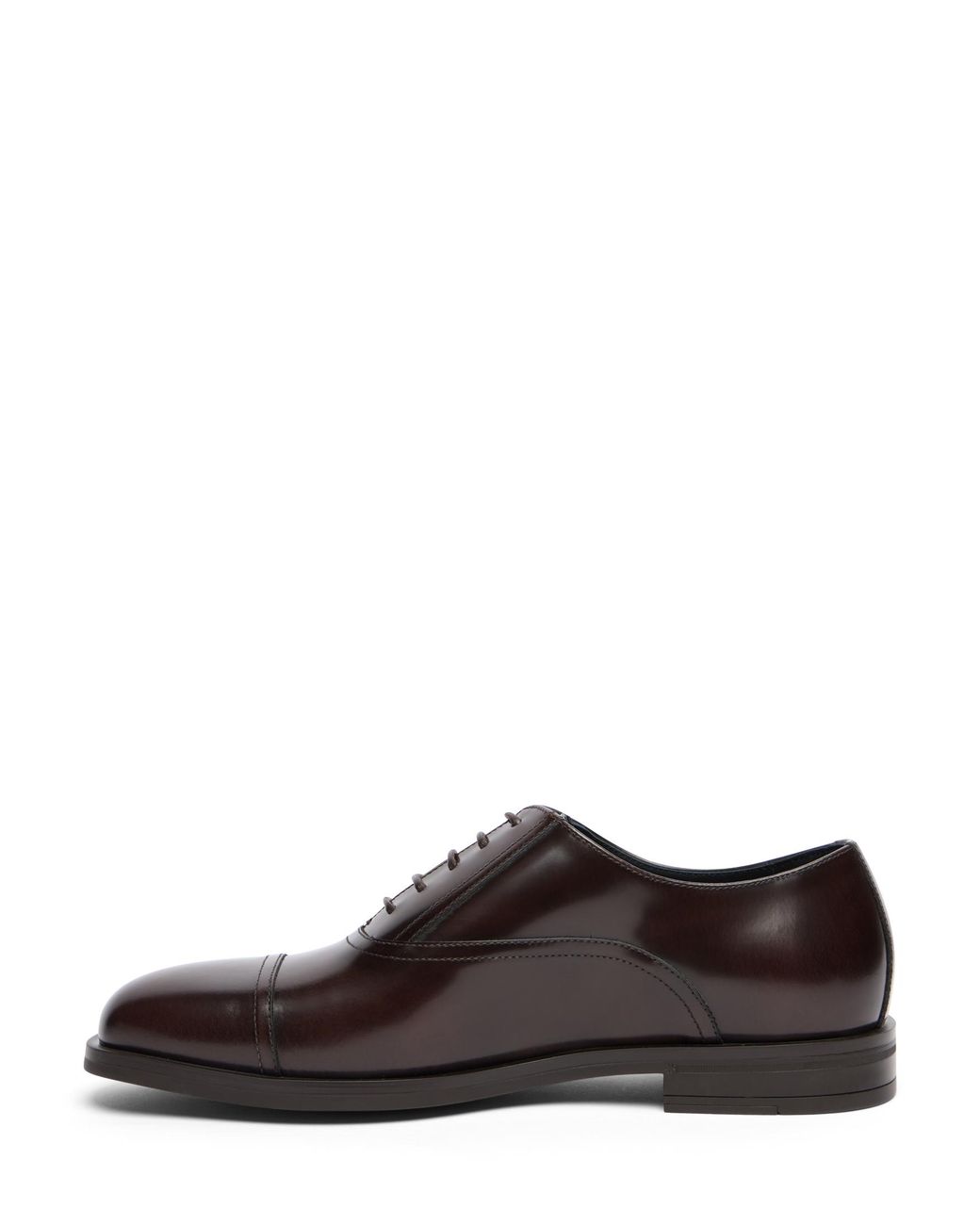 Stuart Weitzman Brown Sw Club Classic Oxford for men