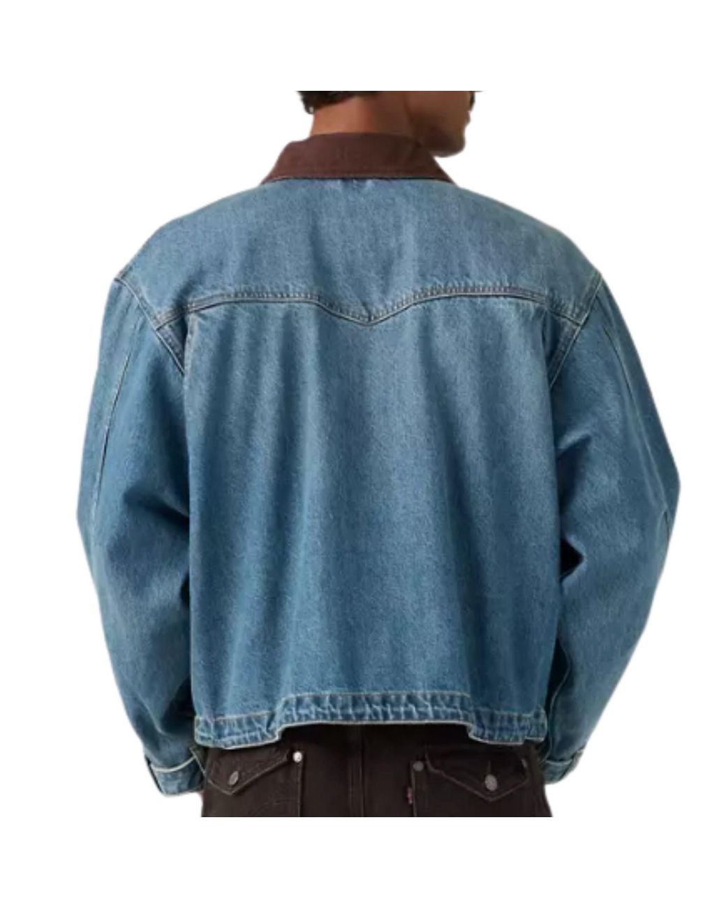 Levi's Blue Levi's Hilltop Jacket for men