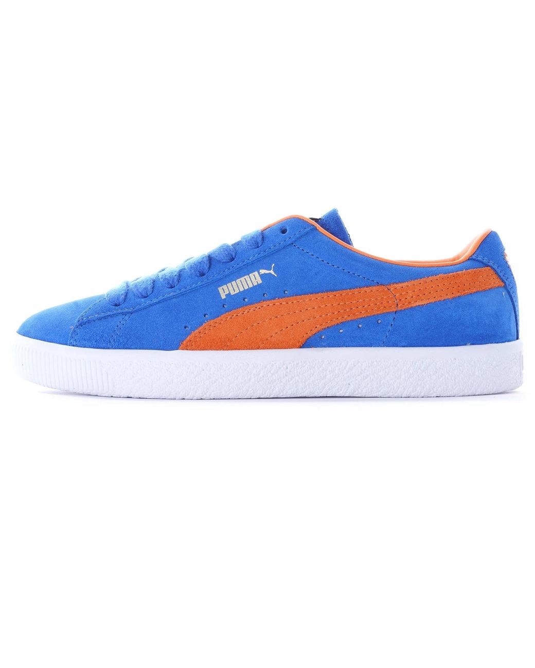 blue and orange puma