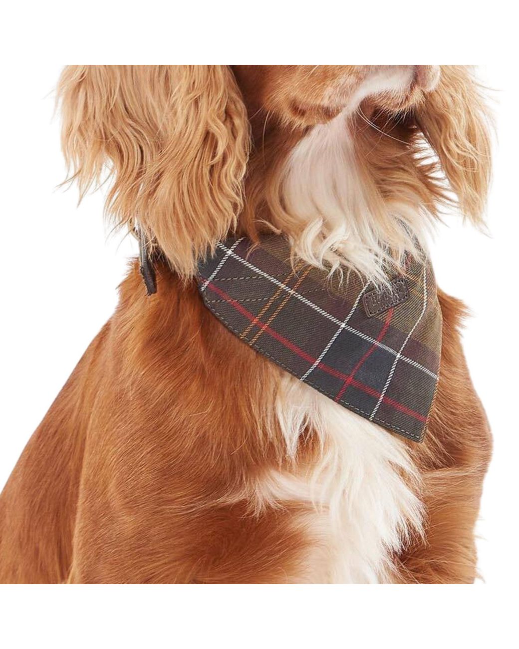 Barbour Brown Dog Tartan Bandana for men