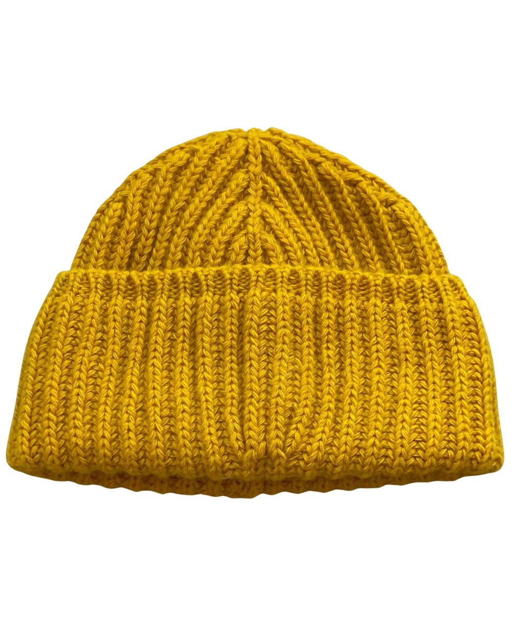 Ivy Ellis Yellow The Cousteus Beanie for men