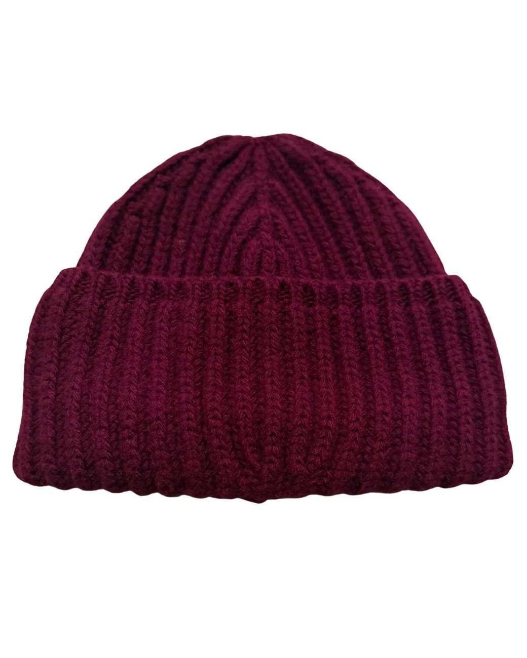 Ivy Ellis Purple The Cousteus Beanie for men