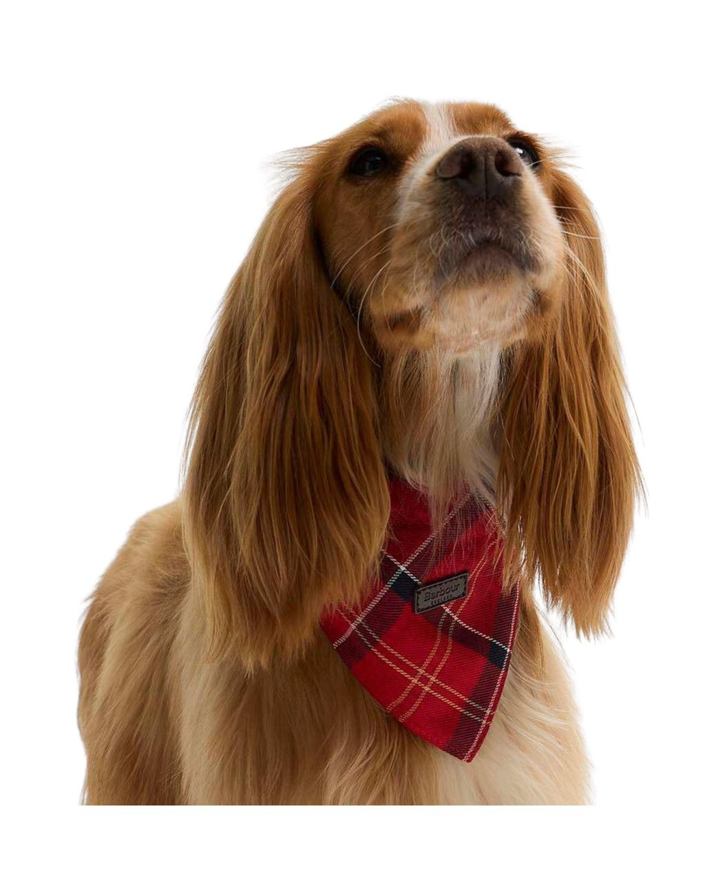 Barbour Red Dog Tartan Bandana for men