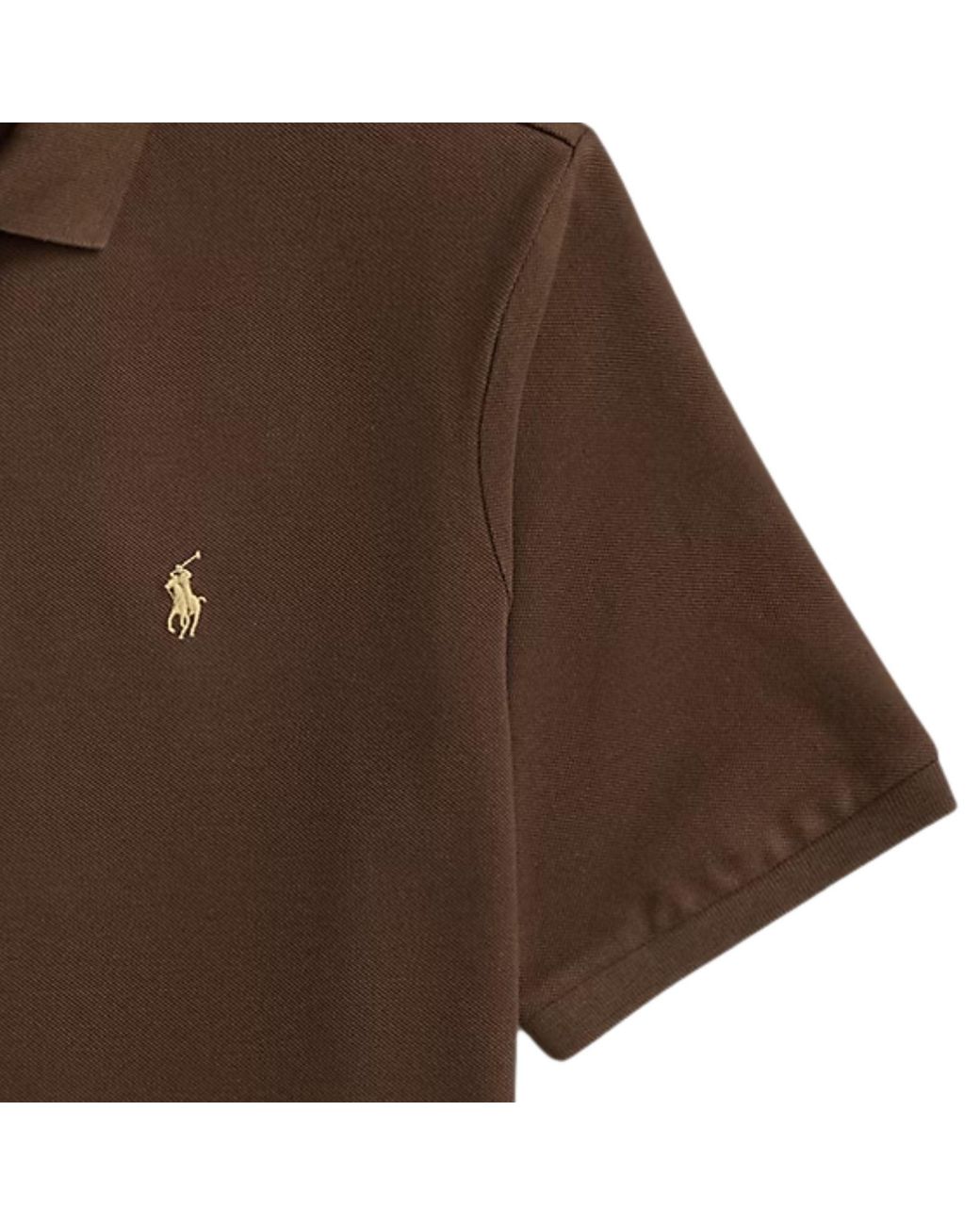 Polo Ralph Lauren Brown The Iconic Classic Fit Mesh Polo for men