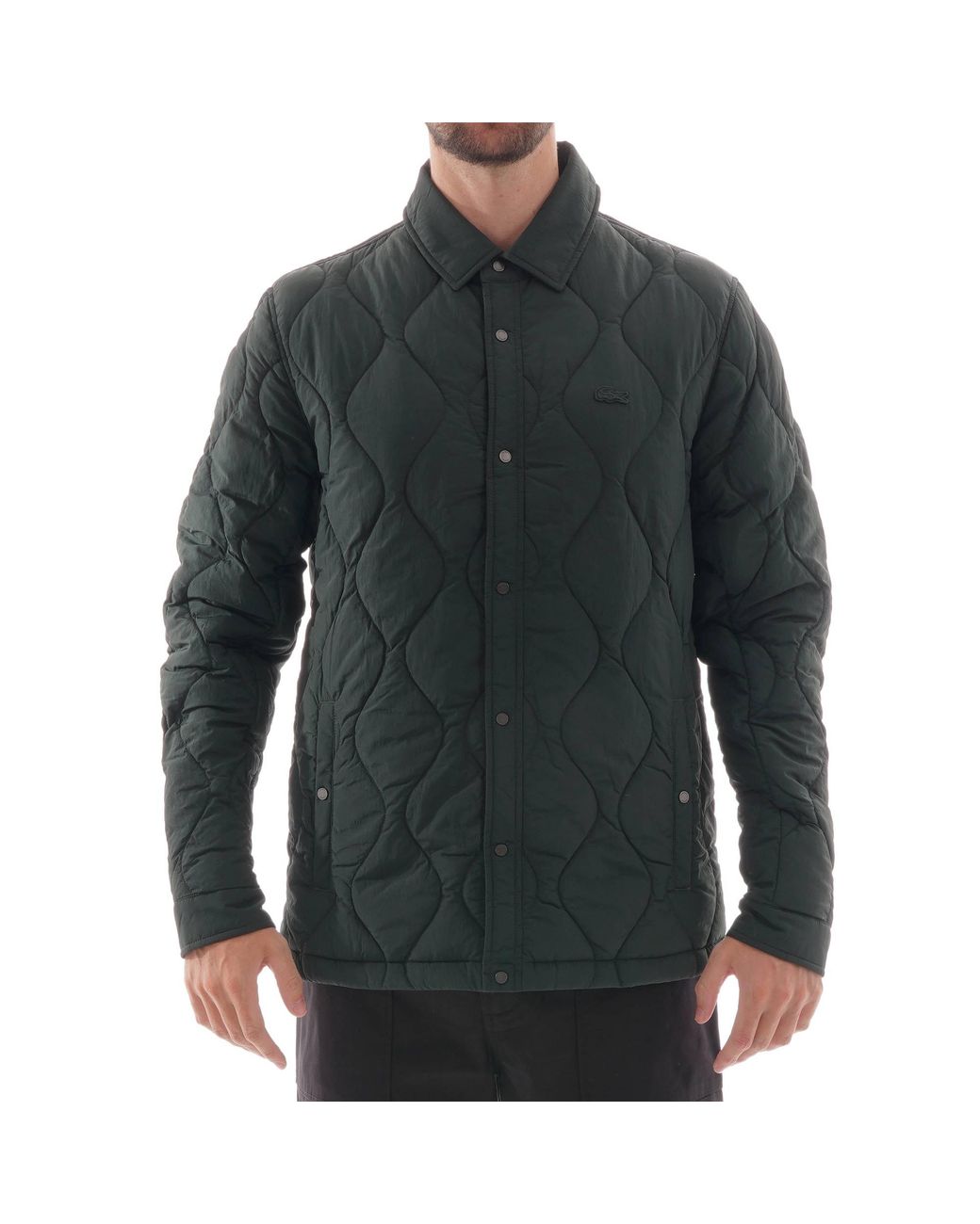 lacoste quilted jacket