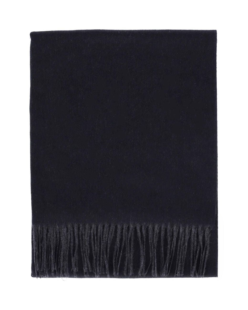 Sciarpa In Cashmere di Altea in Black da Uomo