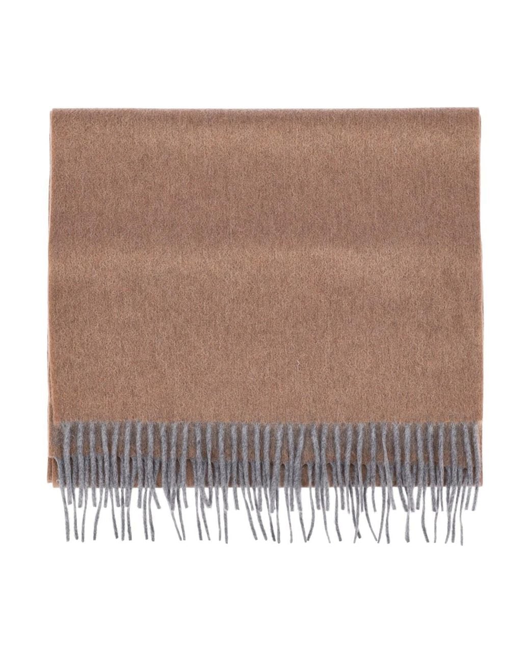 Sciarpa In Cashmere di Altea in Brown da Uomo