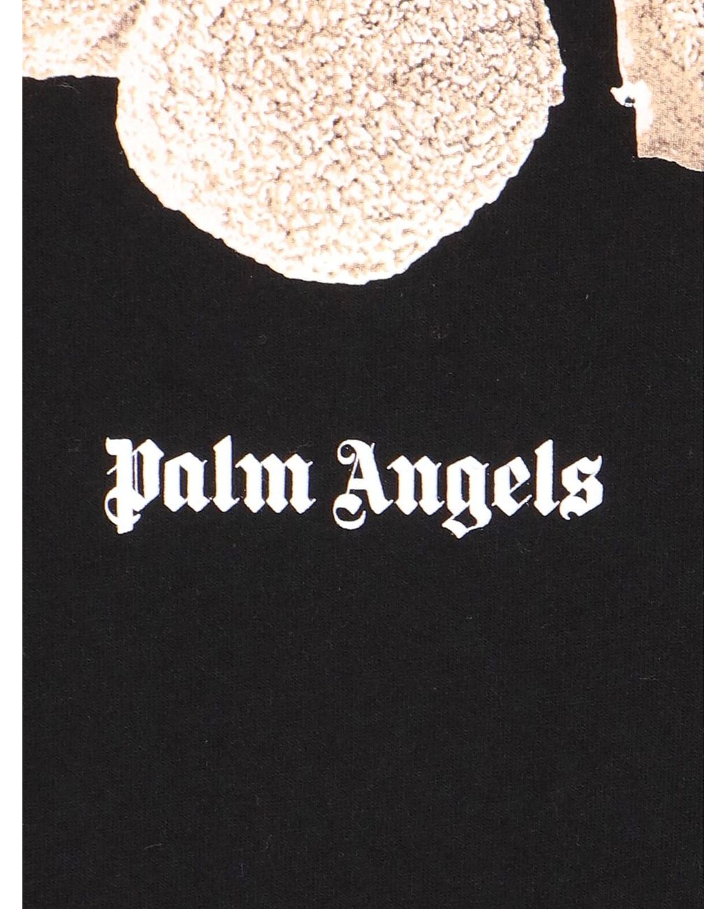 Palm Angels PMJD002F23LEA001 Felpe BLACK SILVER