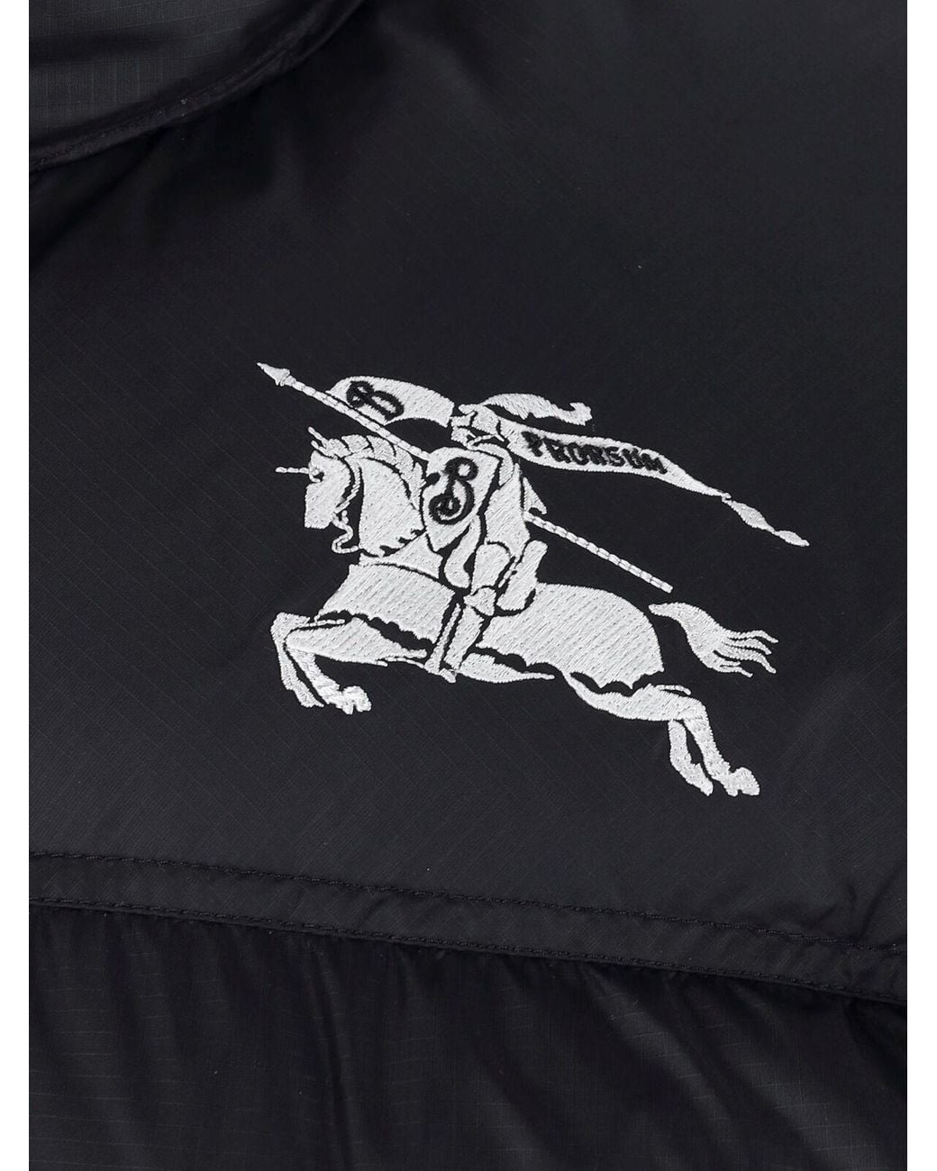 Burberry Blue “Highlands” Down Jacket for men