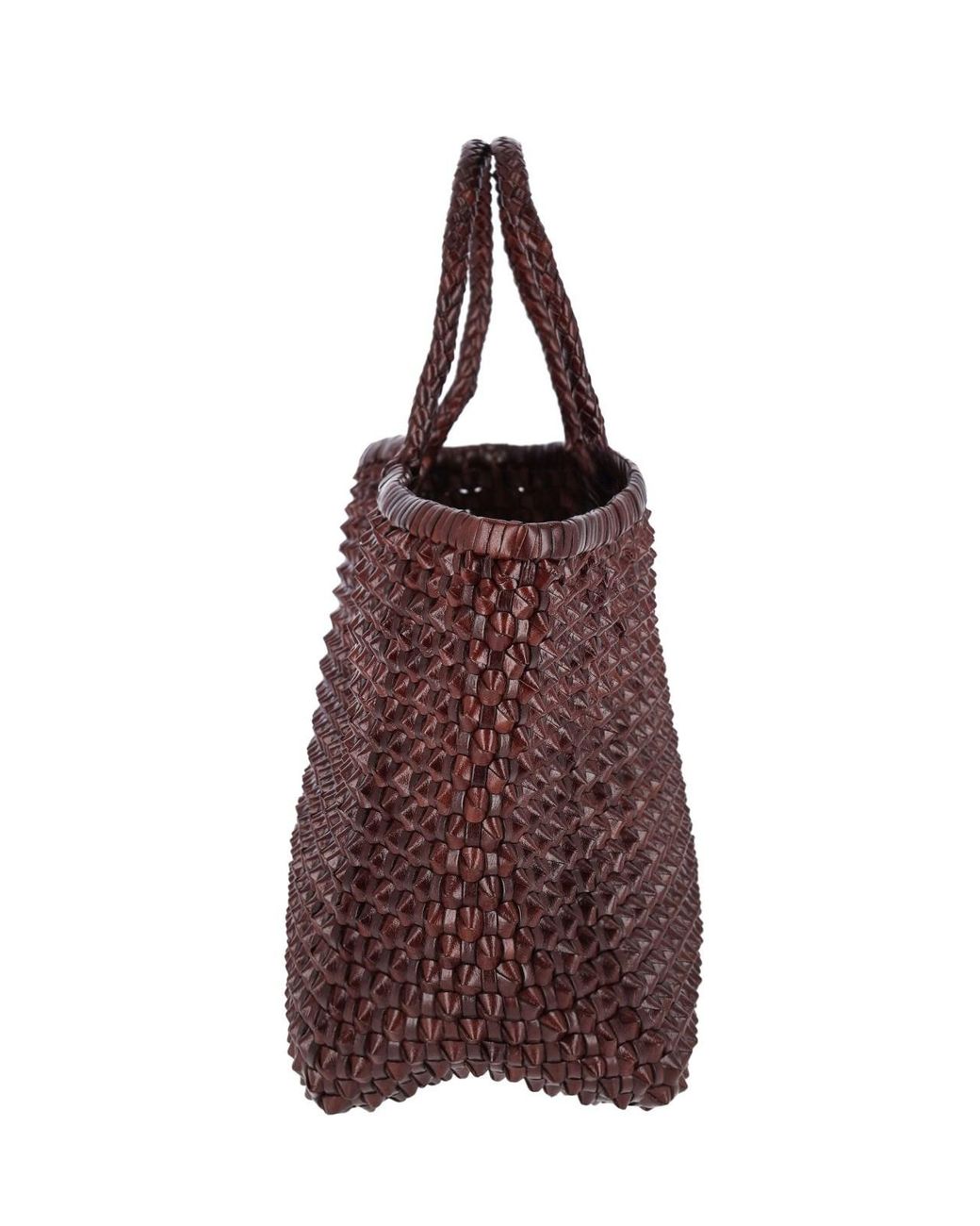 Dragon Diffusion Brown Tote Bag “Nantucket Cactus”