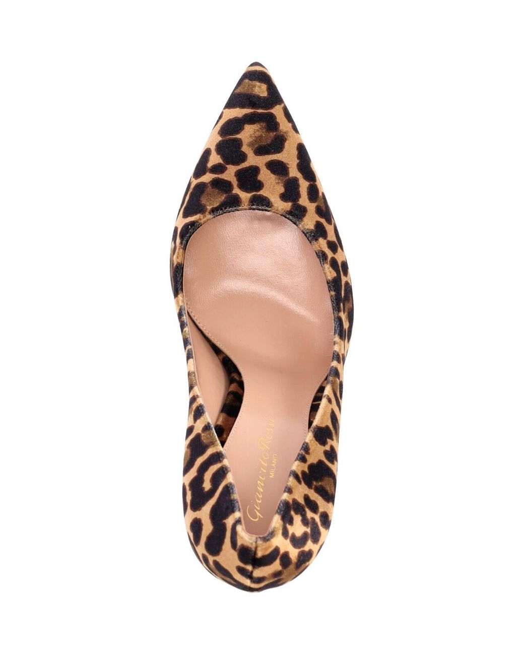 Gianvito Rossi Brown Leopard Print Pointed-Toe Stiletto Pump
