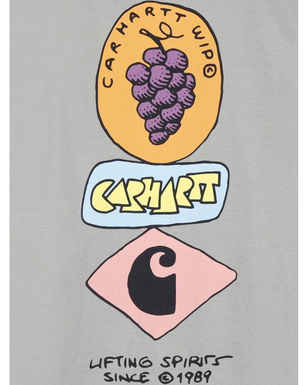 Carhartt Gray T-Shirt "Stacked Grapes" for men