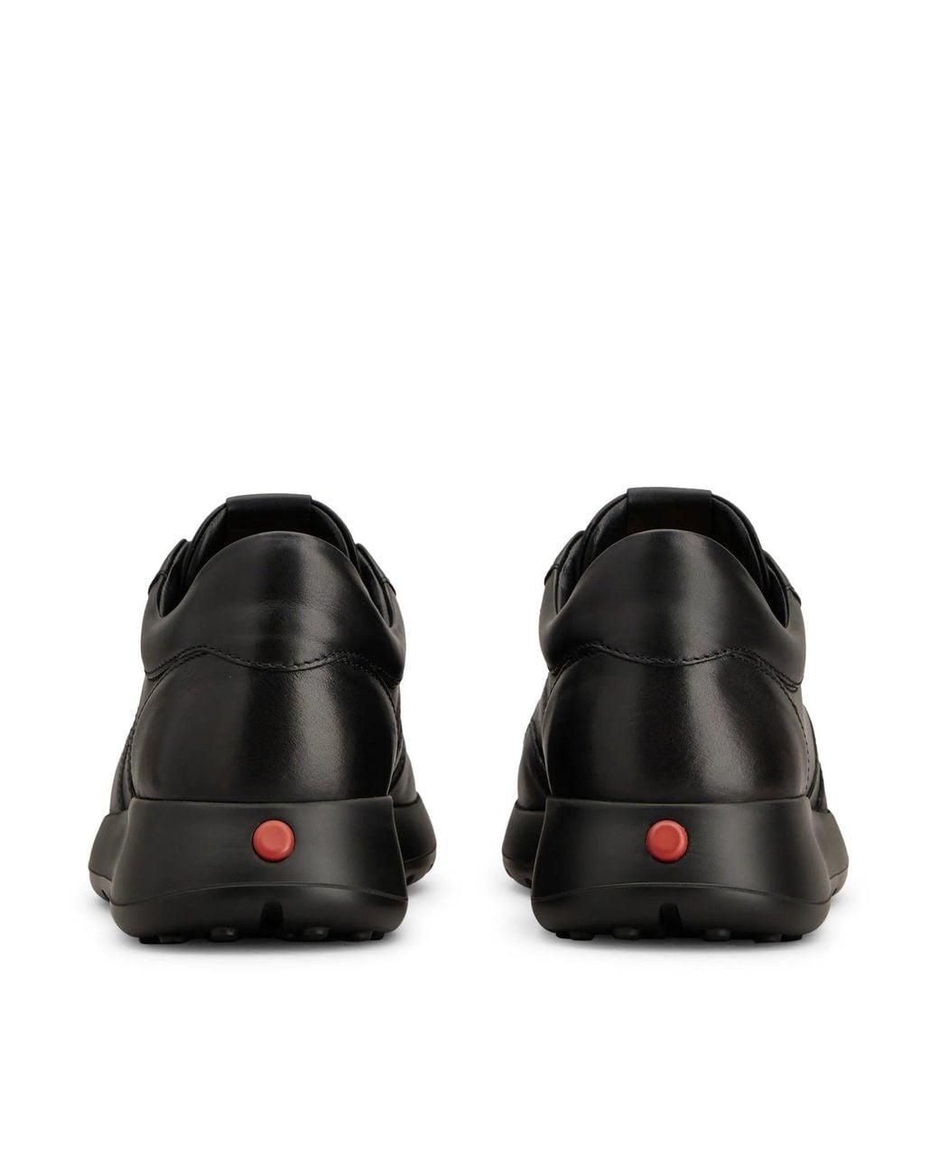 Tod's Black Sneakers for men