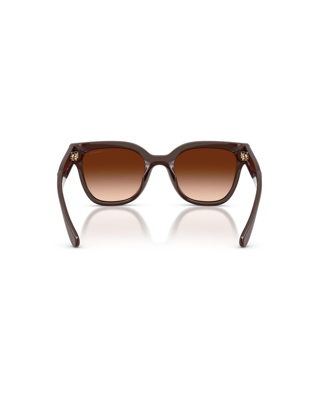 COACH Black Sunglass Cft88