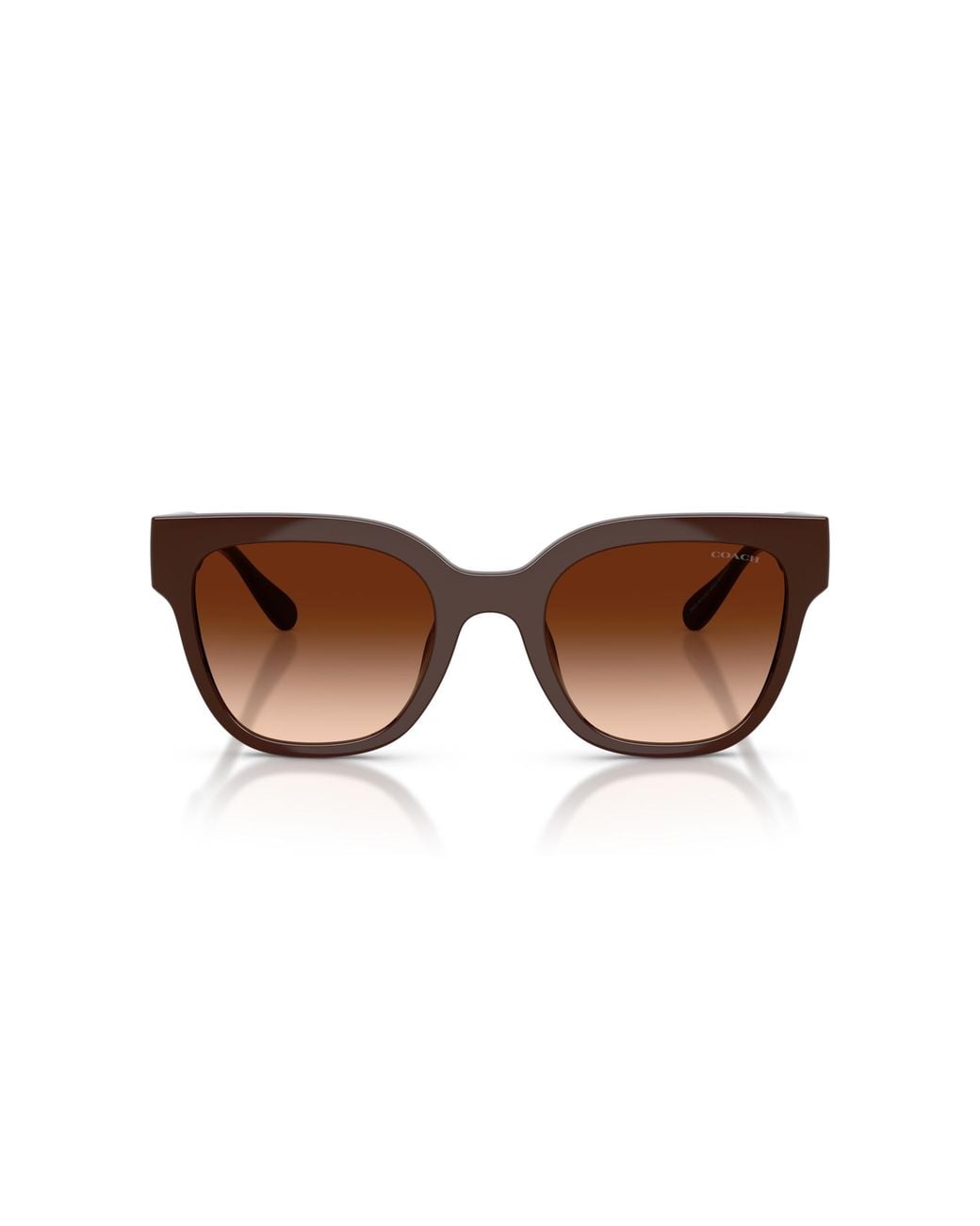 COACH Black Sunglass Cft88
