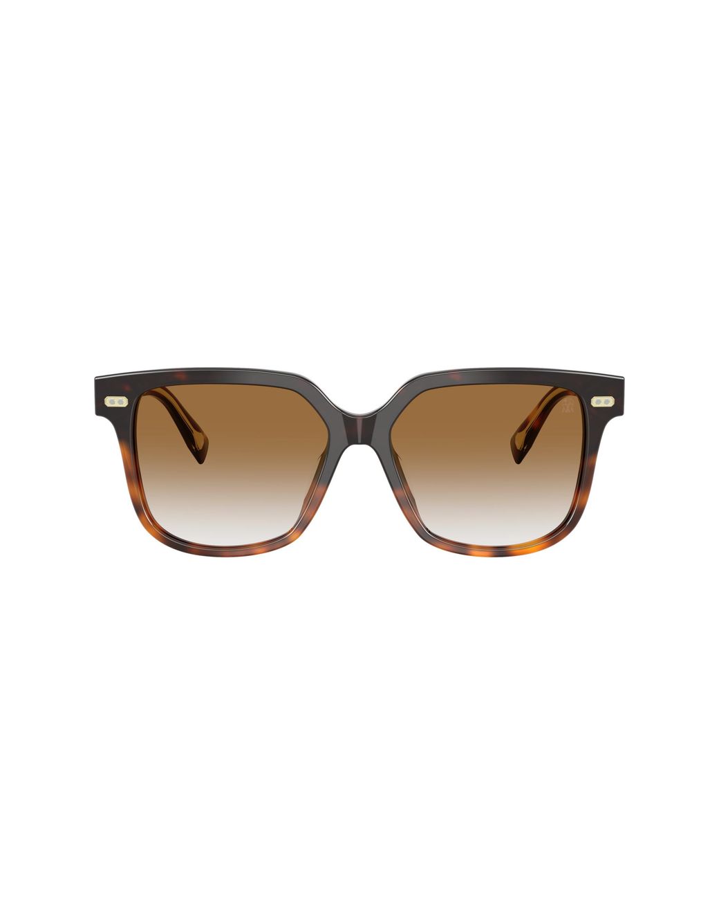 Brunello Cucinelli Black Sunglass Bc4010s