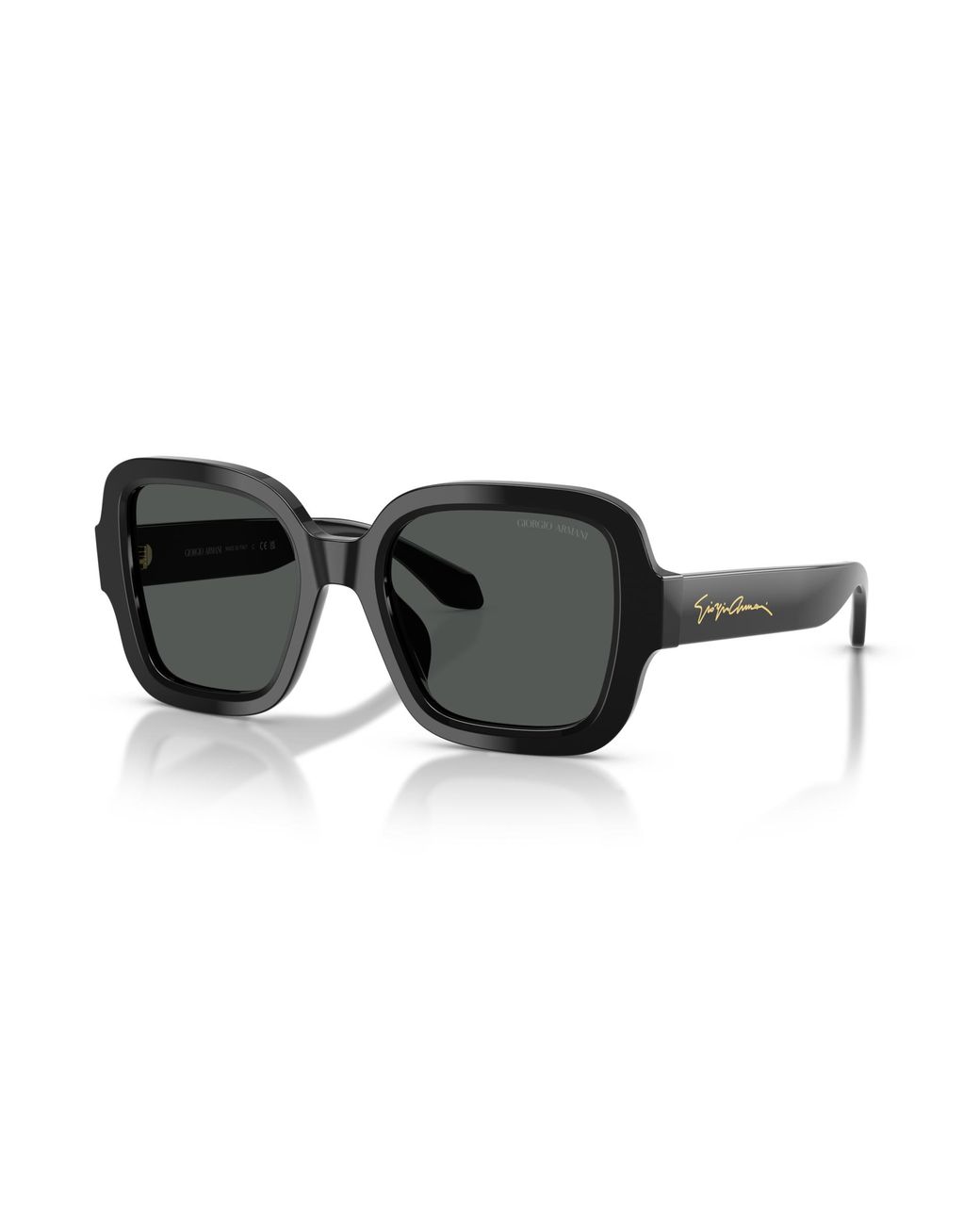 Giorgio Armani Black Sunglass Ar8268u
