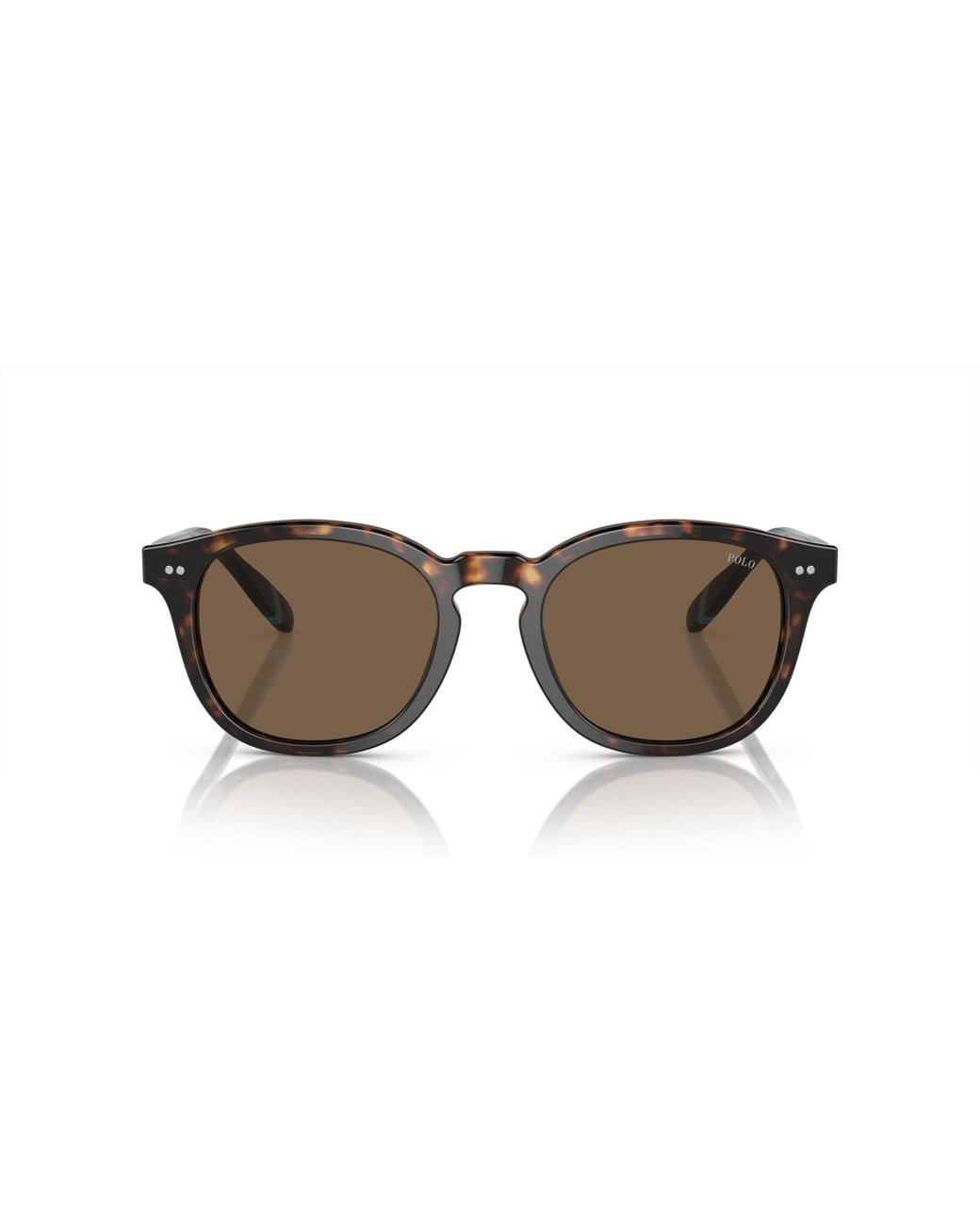 Polo Ralph Lauren Black Ph4206 Sunglasses for men