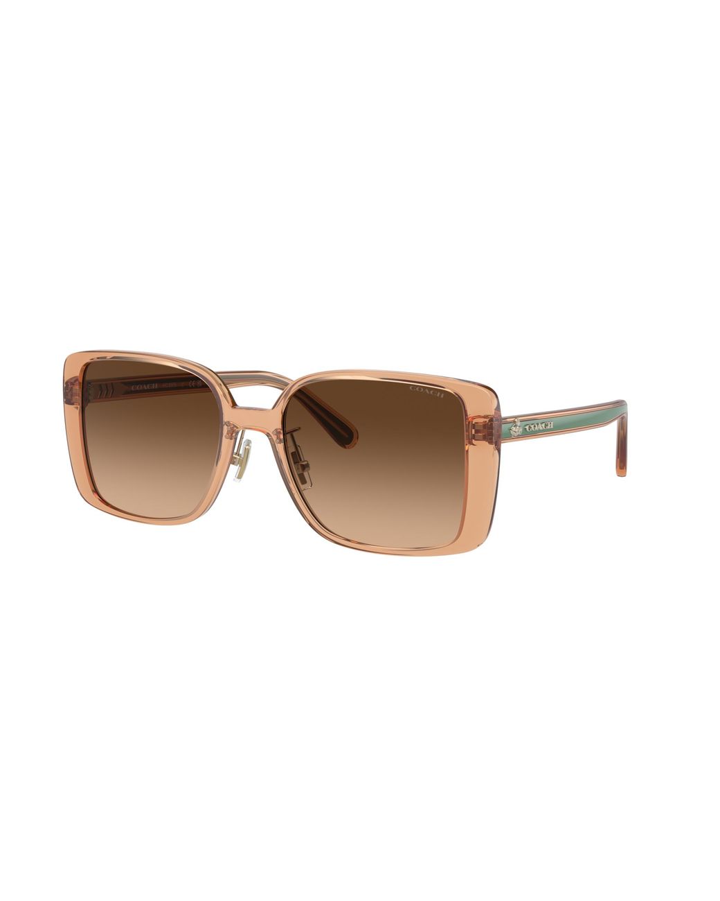 Sunglass CH562 COACH de color Black