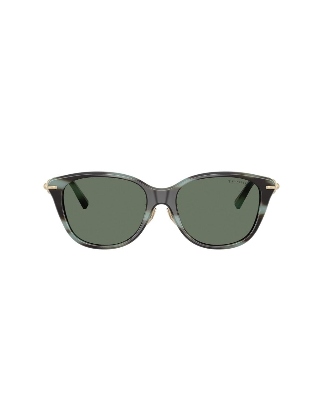 Tiffany & Co Black Sunglass Tf4267f