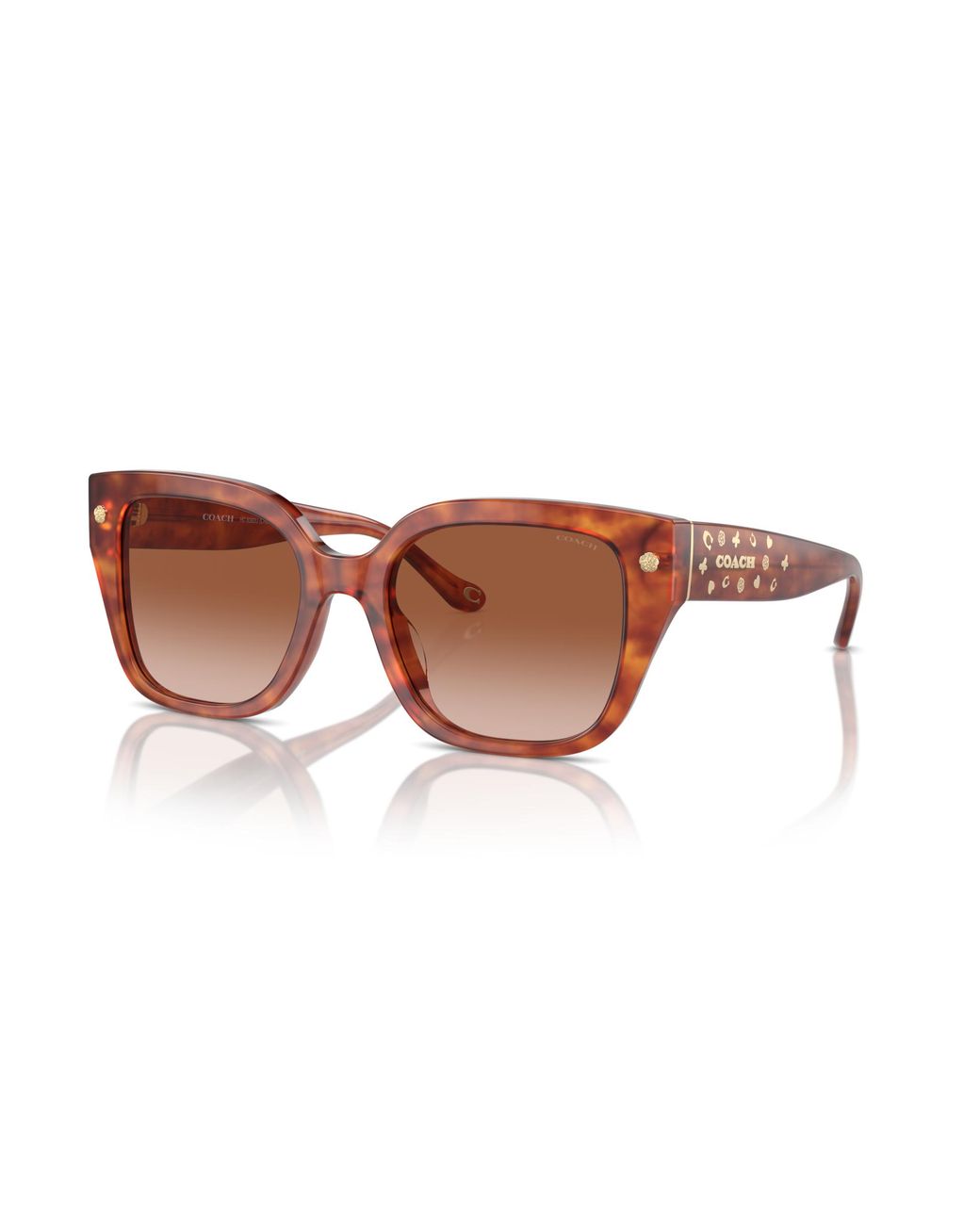 COACH Black Sunglass Cr611