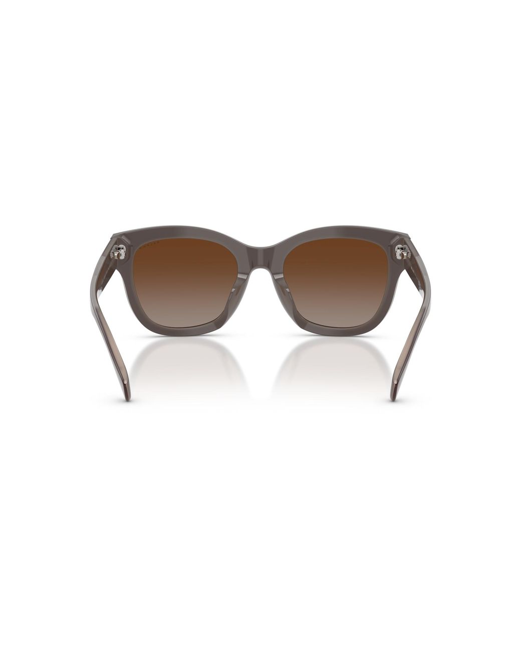 Ralph Black Sunglass Ra5301u