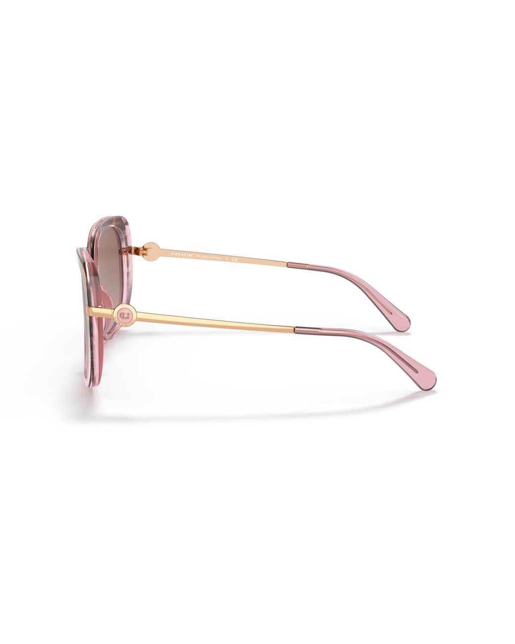 COACH Black Hc8320 Sunglasses