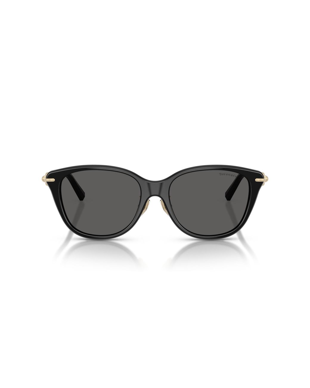 Tiffany & Co Black Sunglass Tf4267f