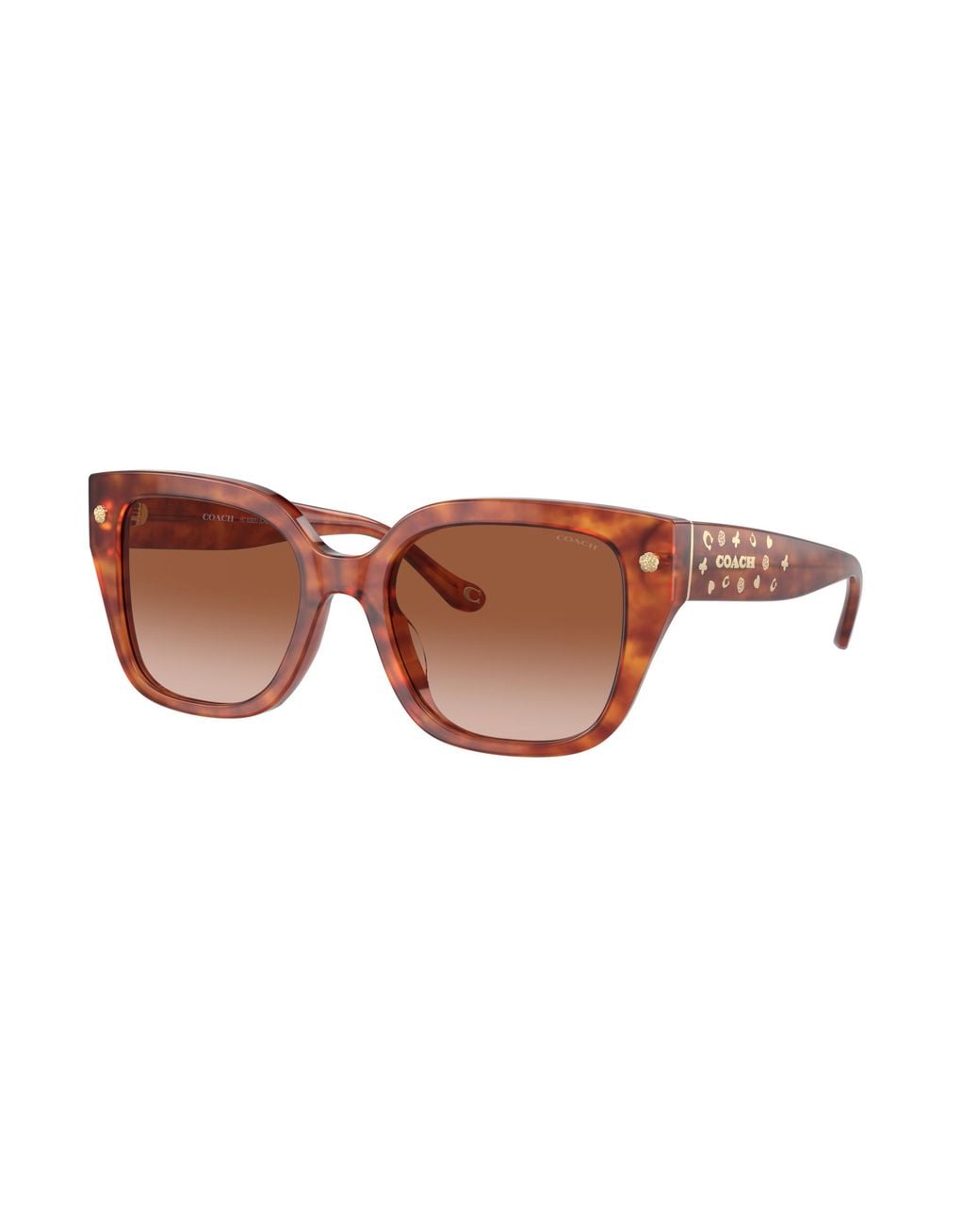 COACH Black Sunglass Cr611