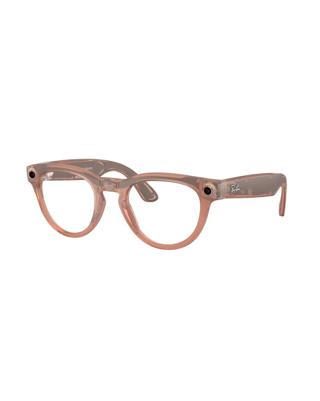 Ray-Ban Black Meta Frame Brown Lenses Ai Glasses