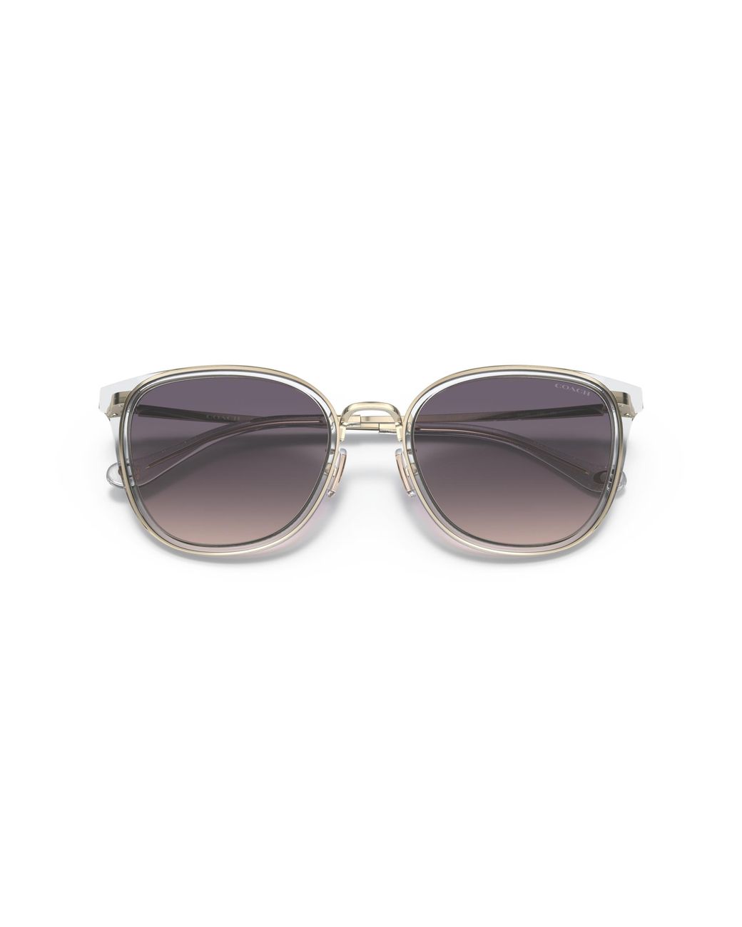 COACH Multicolor Sunglass C7999