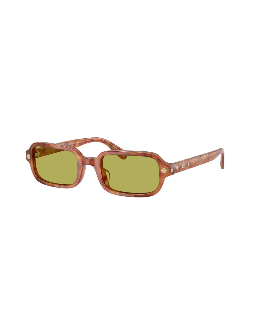 COACH Black Sunglass Cfu11
