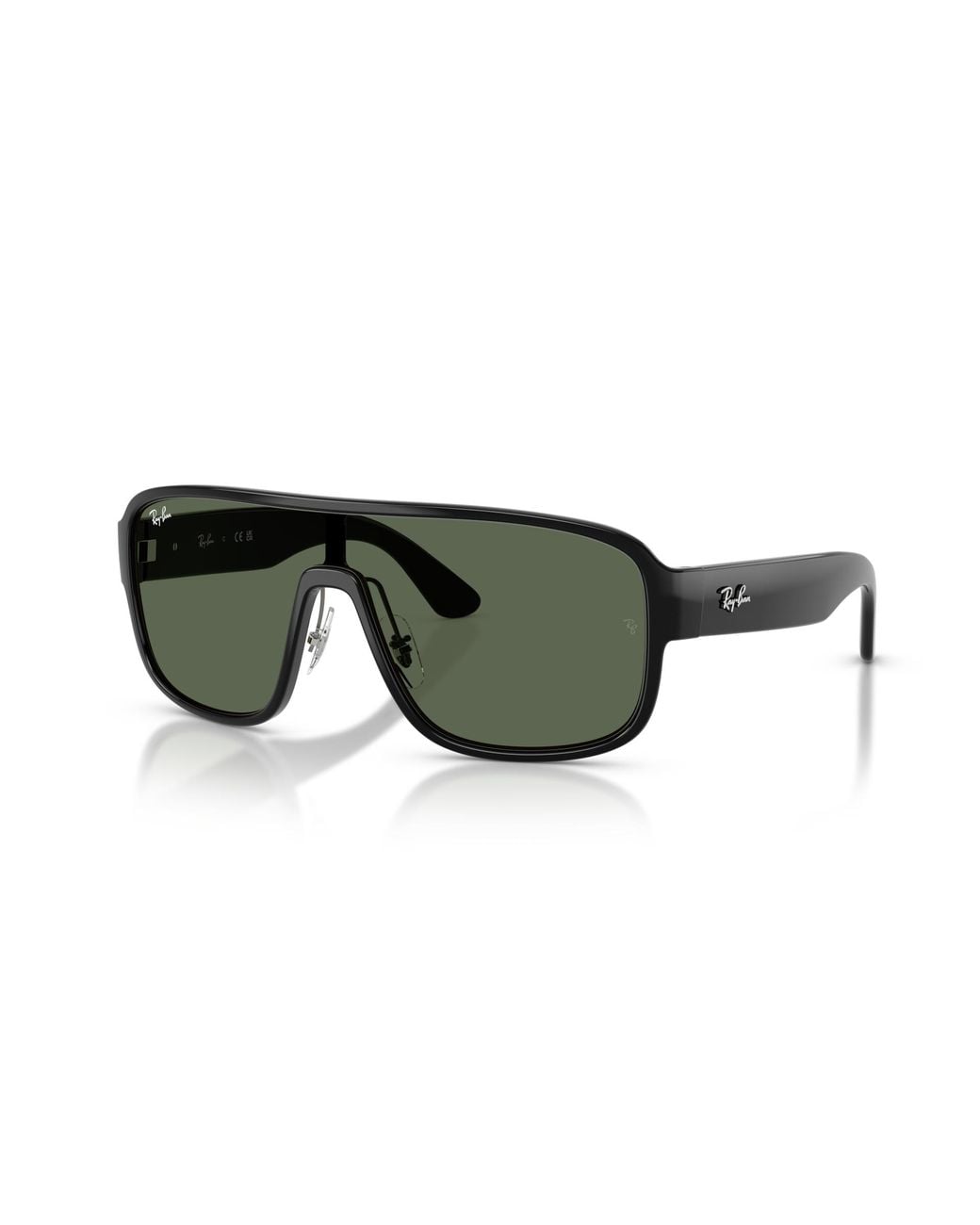 Ray-Ban Black Sunglass Rb2229