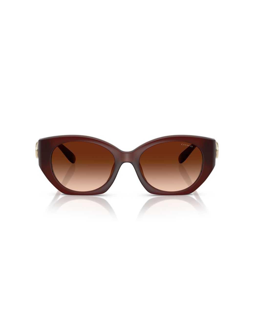 COACH Black Sunglass Cw194