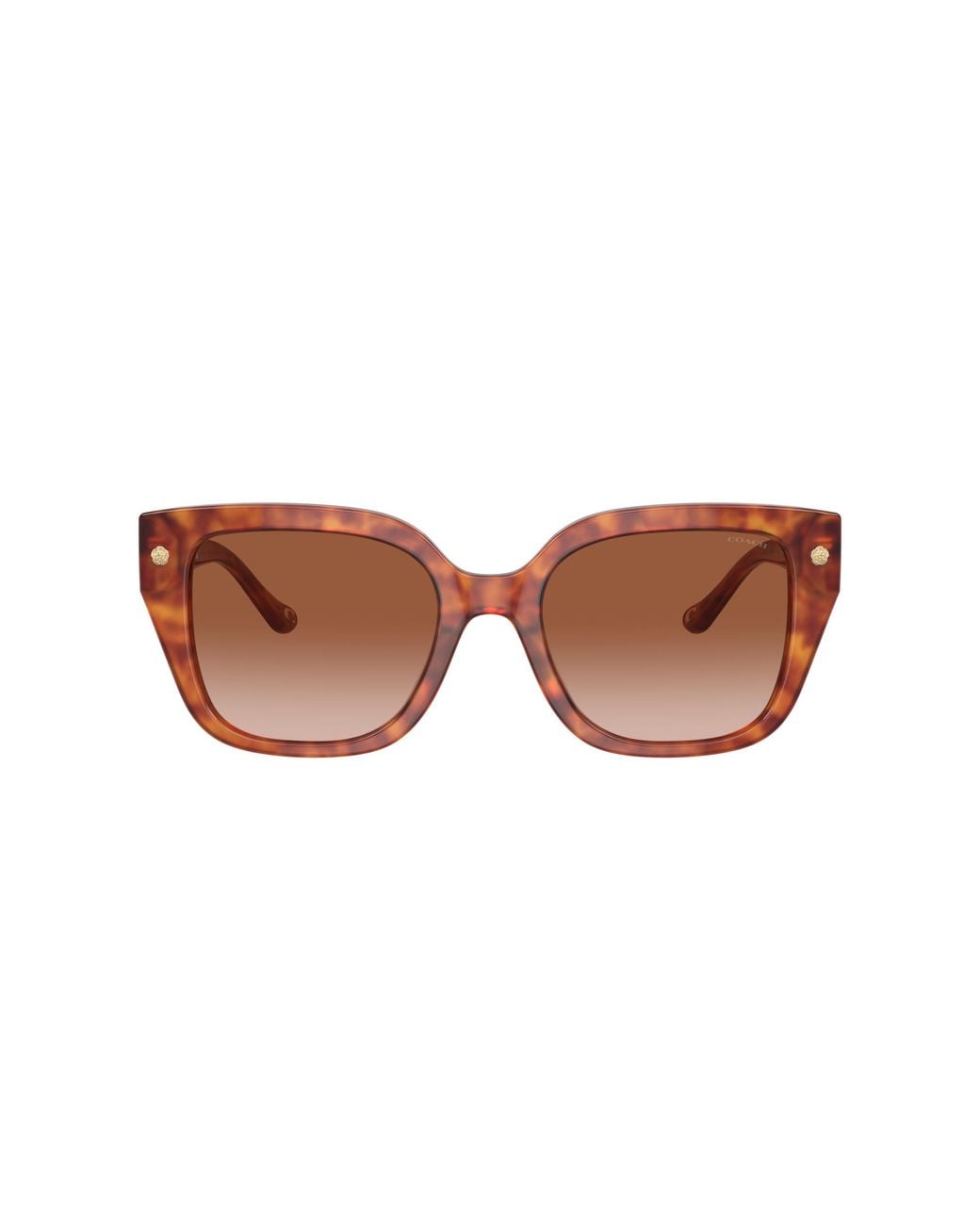 COACH Black Sunglass Cr611