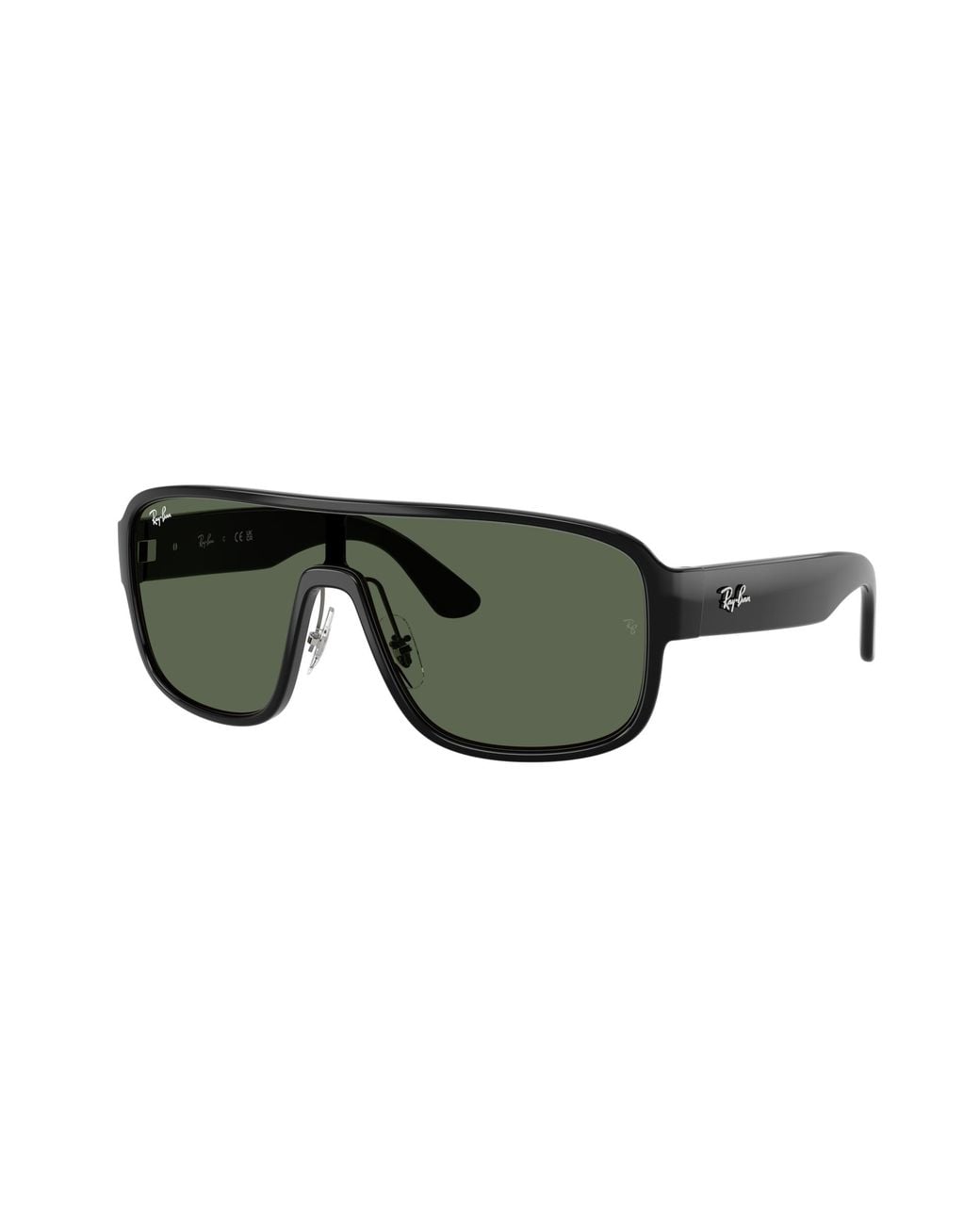 Ray-Ban Black Sunglass Rb2229